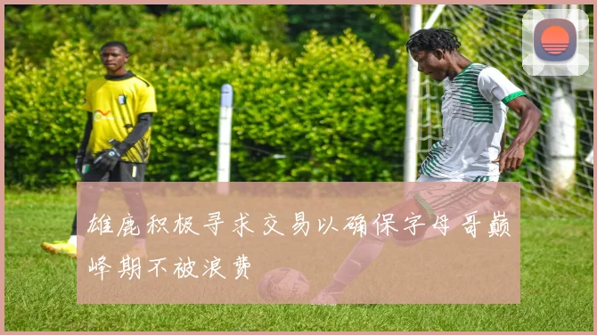雄鹿积极寻求交易以确保字母哥巅峰期不被浪费