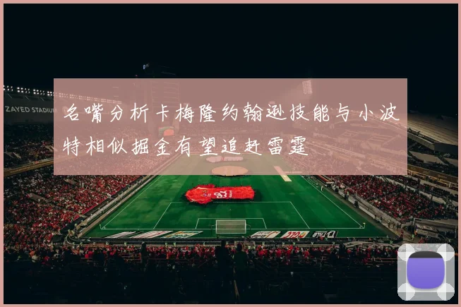 名嘴分析卡梅隆约翰逊技能与小波特相似掘金有望追赶雷霆