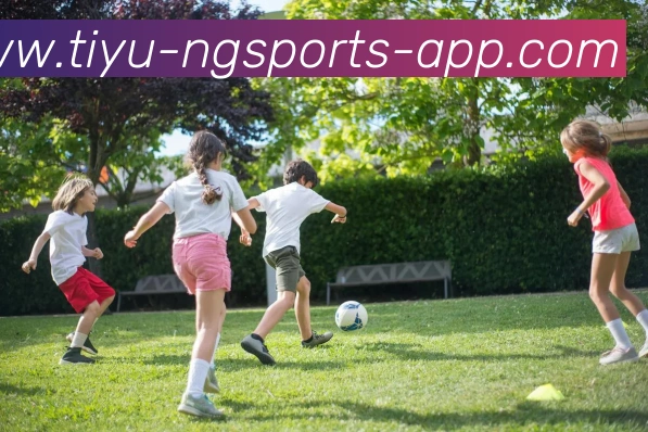 南宫体育平台生态图