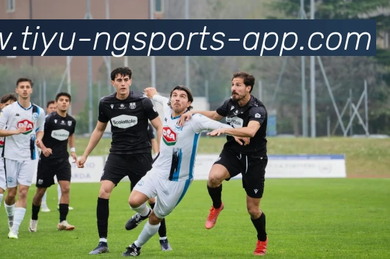 南宫体育全站App